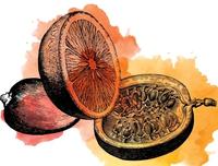 Sour Mango Orange Passionfruit