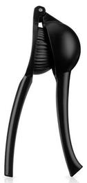 Black Citrus Press